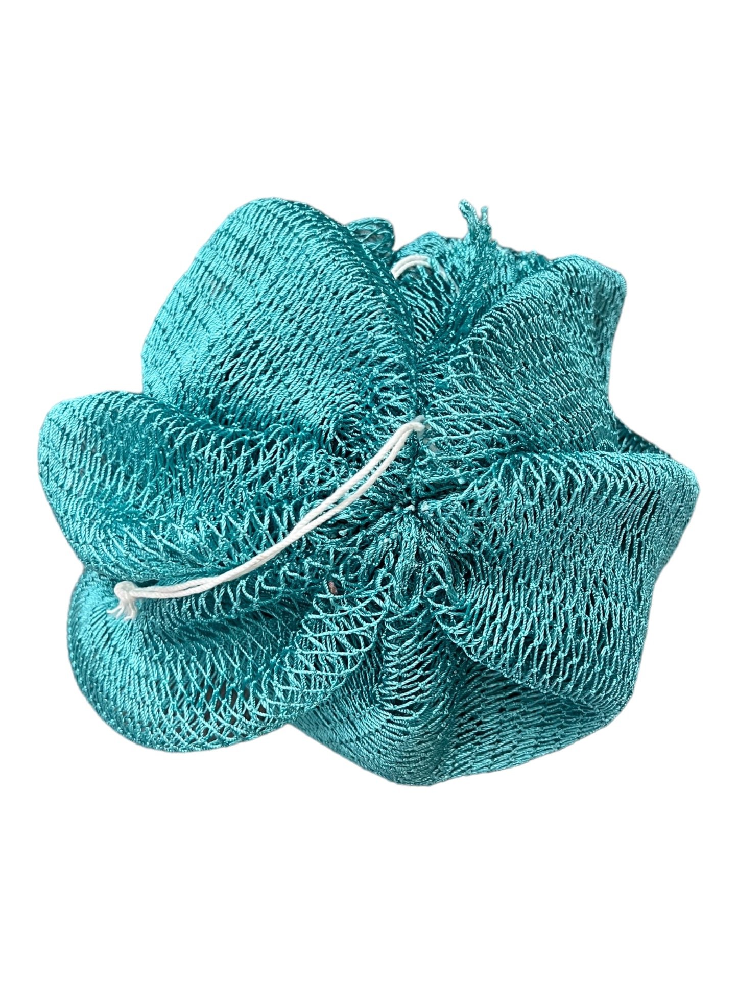 SAPO - African Mesh Sponge